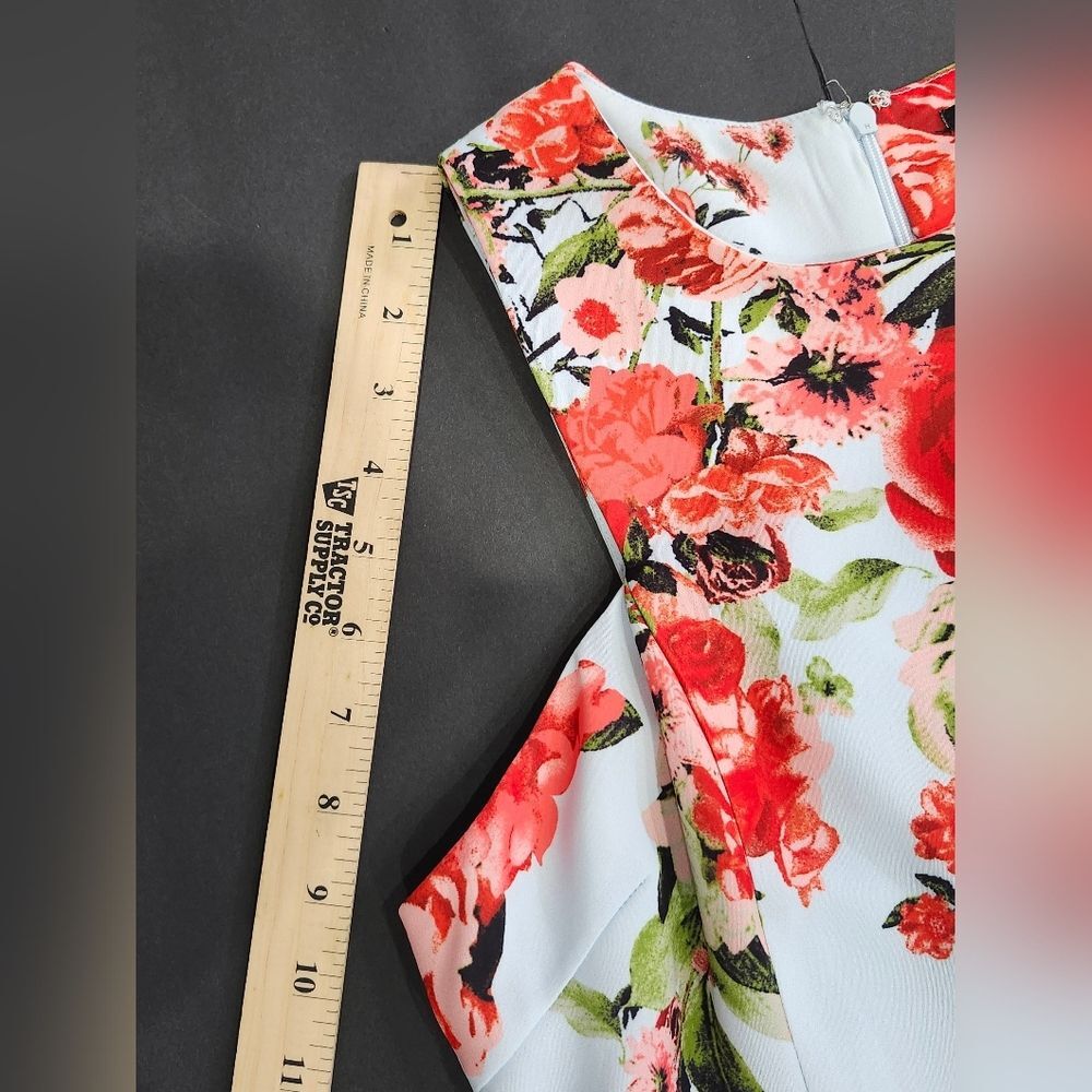 Gianni Bini Floral Mini Dress - Light Blue and Red - Picture 4 of 10